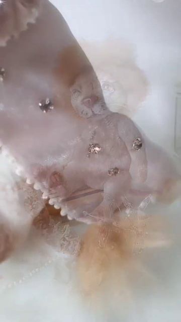 король Лев смотреть онлайн