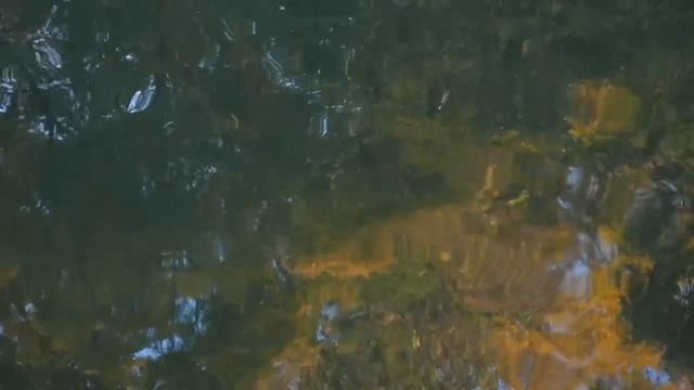 8 декабря 2024 г.