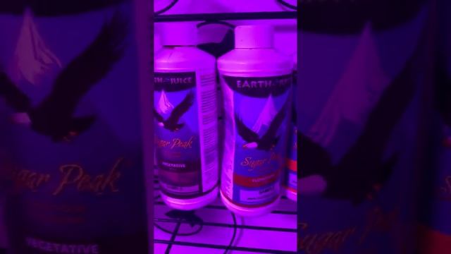 1500 watt Bestva Closet Grow Day 56!! смотреть онлайн