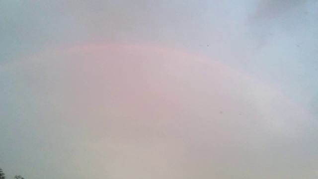 Веселка смотреть онлайн