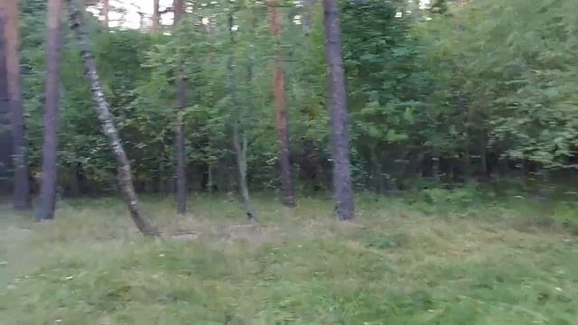 ЗАДОБРИЛИ ДУХОВ ЛЕСА ▴ ВЕДЬМИНА ИЗБА. ИНГА ХОСРОЕВА смотреть онлайн