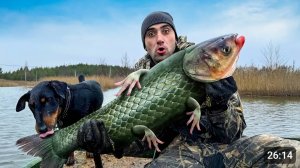 Шок что попалось в Cетку. Уборка в новом лагере