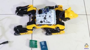 Review of "Bittle" a robot dog from Petoi