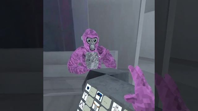 I GOT MY IP LEAKED IN GORILLA TAG смотреть онлайн