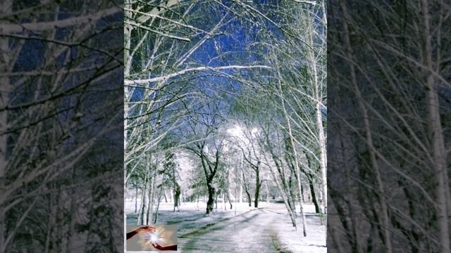 СТИХИ: Когда наступит час уйти ✍️