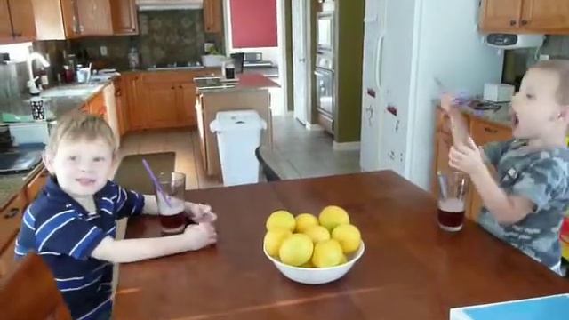 Kombucha Babies! смотреть онлайн