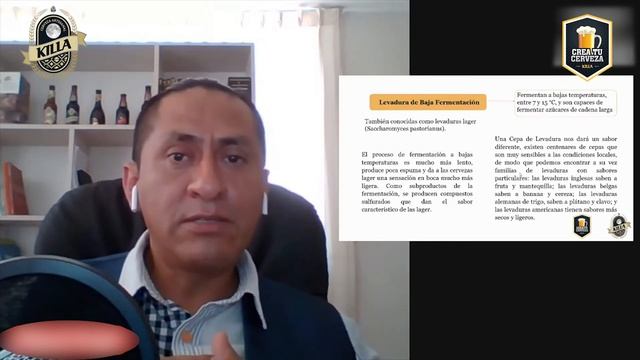 La Levadura смотреть онлайн