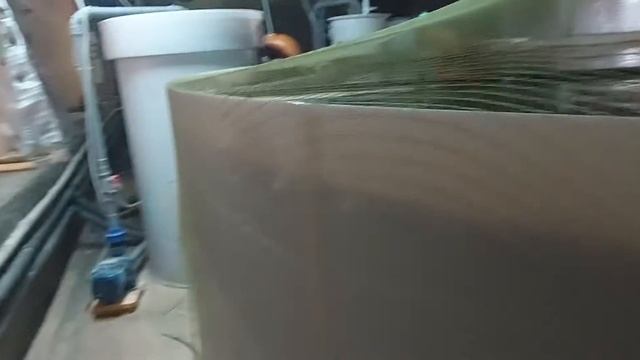 Форель выросла до 2 кг. смотреть онлайн