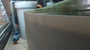 Форель выросла до 2 кг.