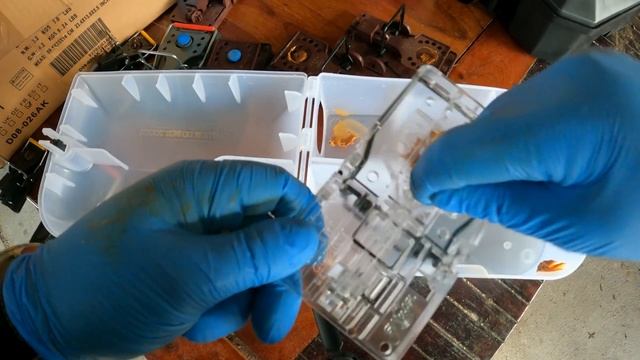 Comment éliminer les RATS dans le jardin ? (1/2) смотреть онлайн