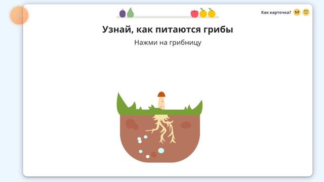 Окружающий мир 