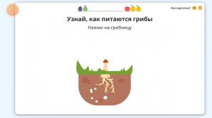 Окружающий мир «Царство грибов» Учи.ру  1 часть