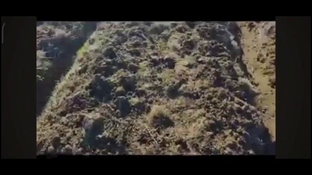 ПИСТОЛЕТ ДЛЯ РАССАДЫ С ДВУМЯ РУЧКАМИ, ПОСАДКА ОЗИМОГО ЧЕСНОКА. УПРОЩАЕМ СЕБЕ ЖИЗНЬ, НЕ ВРЕДИМ ПОЧВ смотреть онлайн
