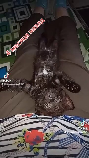 это кто? наш ребенок, такой красивый? 😆😅😂 смотреть онлайн
