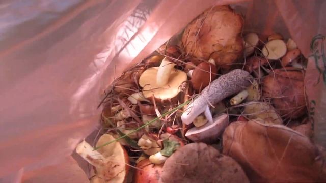 Как я провел последний день лета... смотреть онлайн