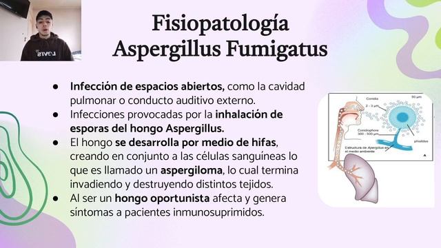 Aspergillus Fumigatus, Mauro Saldivia смотреть онлайн