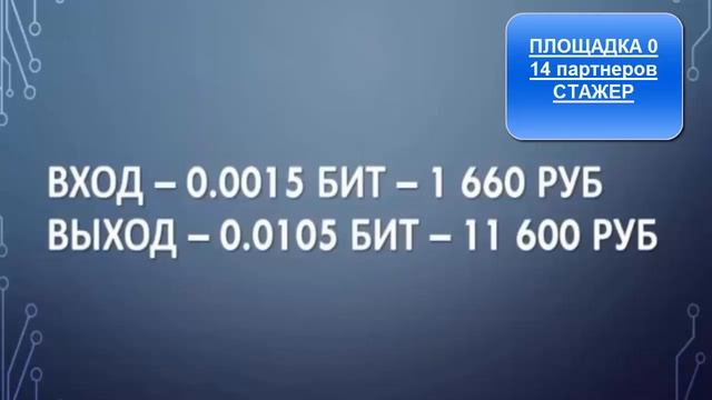 НОВАЯ ПЛОЩАДКА СТАЖЕР 0 Как зарабатывать на этой площадке смотреть онлайн