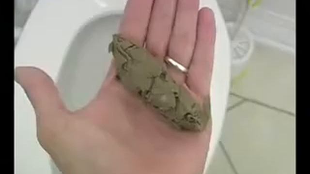 KAK SDELAT' KAKASHKU! смотреть онлайн