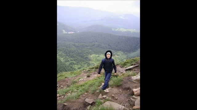 Панкевич антология смотреть онлайн