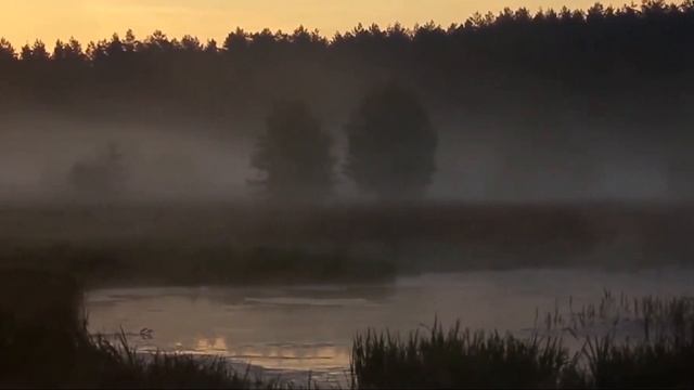 "В зеркале слез" смотреть онлайн