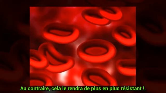 Quel traitement naturel contre le candida albicans ? - c0ns3ils смотреть онлайн