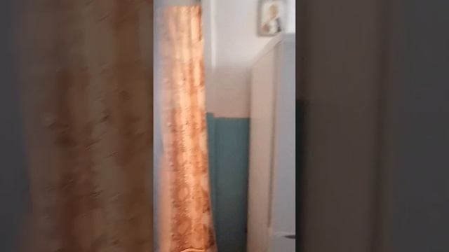 7 июля 2024 г. смотреть онлайн