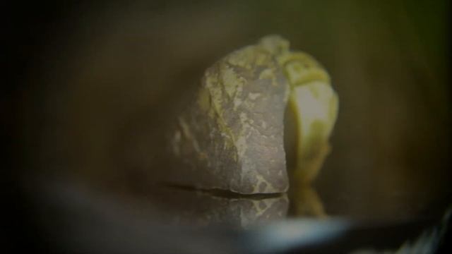 SHAMANIC MASKS from moose antler смотреть онлайн