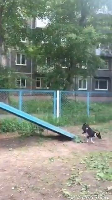 Успехи ЛОКИ смотреть онлайн