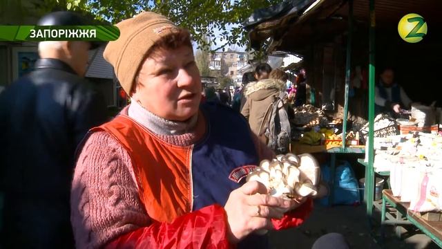 Новини Z - Лікарі попереджають людей про можливість отруєння грибами - 07.11.2016 смотреть онлайн