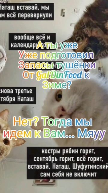 халяль тушенка от GalDinFood в г. Набережные Челны(бедра тушеные, скумбрия консерва, говяжья тушенк смотреть онлайн