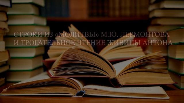 Поэтический флешмоб ко Всемирному дню поэзии