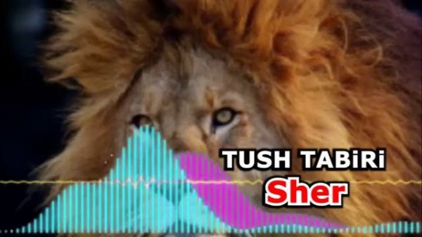 Sher tushda tush tabiri - Тушда шер ko'rsa