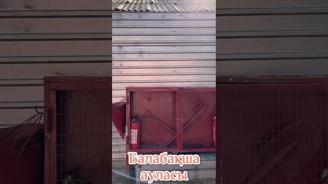 Бала бақша ауласы. смотреть онлайн