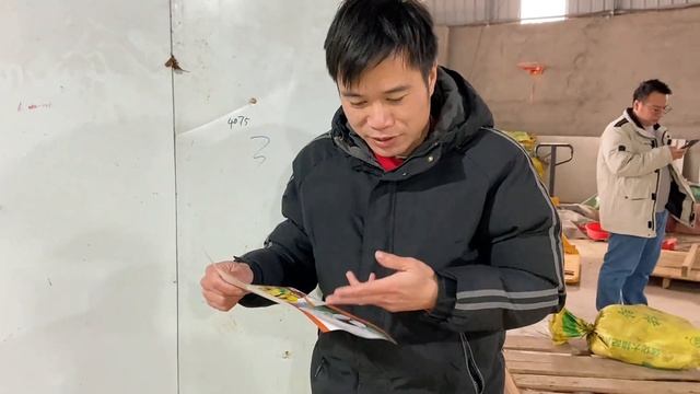 男一号和好友来到荔浦，一下见到这么大的芋头，竟然馋的直流口水#日常分享#年货#记录【男一号R】 смотреть онлайн