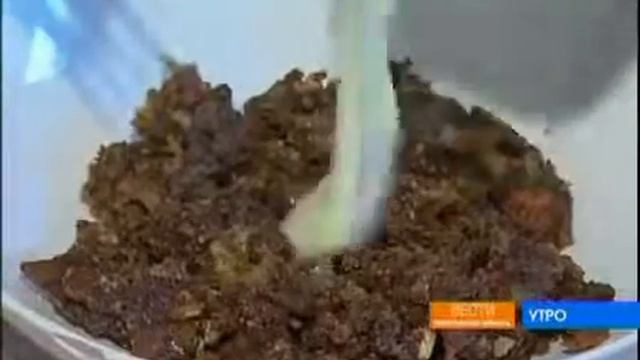 3. Трюфели вместе с кашей ЗДОРОВЯК смотреть онлайн