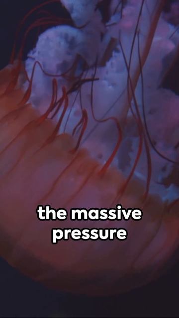 The Blobfish Is NOT Ugly #motivation #quotes #skincare #shorts смотреть онлайн