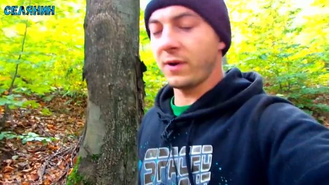 Жовтневий похід по гриби.Золота осінь начинається 2018 смотреть онлайн