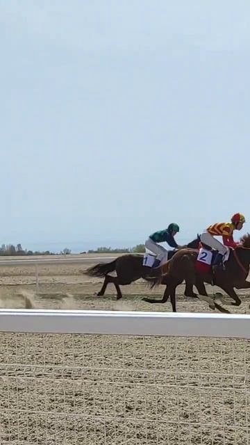 Соревнования по конному спорту. Кыргызстан 🐎🐎🐎 смотреть онлайн