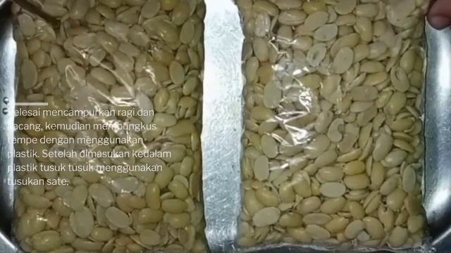 PRAKTEK IPA BIOTEKNOLOGI PANGAN IX-H || kelompok 3 membuat tempe dan olahannya. смотреть онлайн