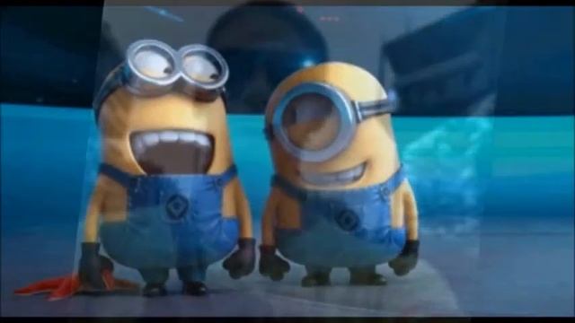Minion Minchiate e Dintorni Despasito смотреть онлайн