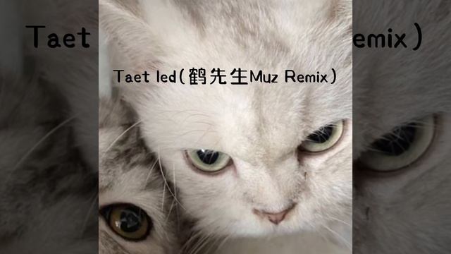 Тает Лед (鹤先生Muz Remix)