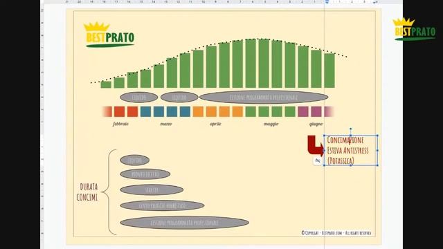 LA SECONDA CONCIMAZIONE DI PRIMAVERA / LIVE / BESTPRATO LIVE #177