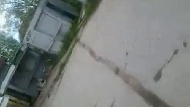 Рынок Мадрида ( р - он Гатчины ) ; 6.06.2017 г.