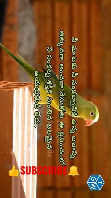 Jeevitha Satyaalu @telugugoldenwords