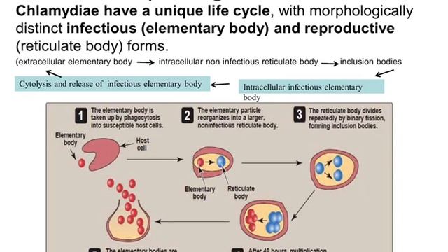 Unit 8 Micro Lec 3 смотреть онлайн