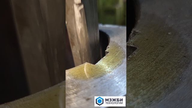 МЗЖБИ Технологии