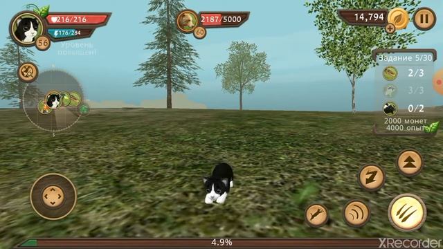 Cat Sim Симулятор кошки Челлендж победить всех боссов смотреть онлайн