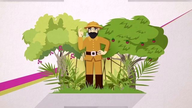 Historia Del Descubrimiento Del S. Boulardii