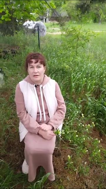 Применение полевой фиалки ОТ АЛЛЕРГИИ смотреть онлайн