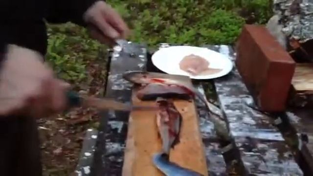 Ahvenfile 2012 смотреть онлайн